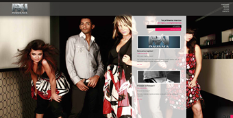 Pavana Pamplona : Diseño Web : Ingennia Diseño y Comunicación